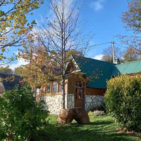Family Farm Bungalow Žabljak Extérieur photo