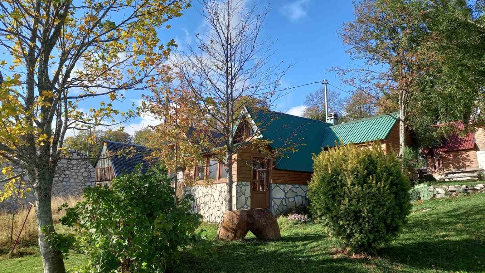 Family Farm Bungalow Žabljak Extérieur photo